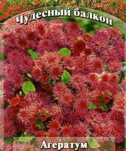 Агератум Калинка* 0,1 г серия Чудесный балкон Н10