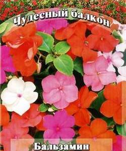 Бальзамин Бамбина*, смесь 0,05 г серия Чудесный балкон Н10