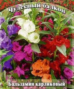 Бальзамин Экзотик карлик. 0,2 г серия Чудесный балкон Н10