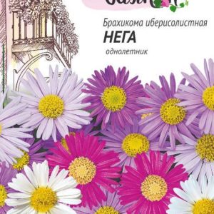 Брахикома Иберисолистная Нега* 0,05 г сер. Чудесный балкон Н10