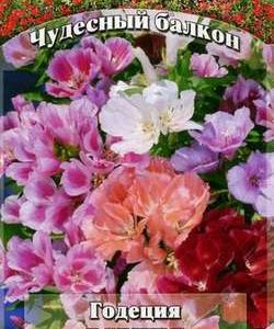 Годеция Есения* низкая смесь 0,1 г серия Чудесный балкон Н10