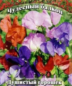 Душистый горошек Маленький принц 0,5 г серия Чудесный балкон Н10