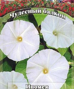 Ипомея Лаки стар 3 шт. серия Чудесный балкон Н10