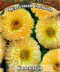 Календула Абрикосовый джем 0,5 г серия Чудесный балкон Н10
