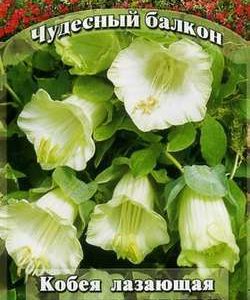 Кобея Лазающая Джингл беллс 5 шт. серия Чудесный балкон Н10