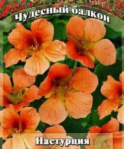Настурция Браво 8 шт. серия Чудесный балкон Н10