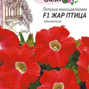 Петуния Жар птица F1 10 шт гранул. пробирка серия Чудесный балкон Н10