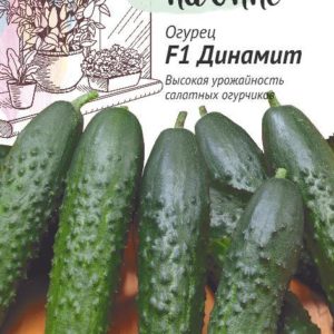 Огурец Динамит F1 10 шт. серия Урожай на окне