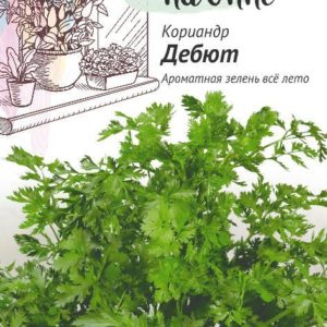 Кориандр Дебют 2,0 г сер. Урожай на окне