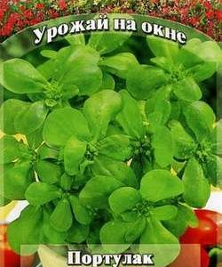Портулак Парадокс* 0,1 г сер. Урожай на окне Н10