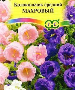 Колокольчик Махровый, средний* 0,1 г Н9