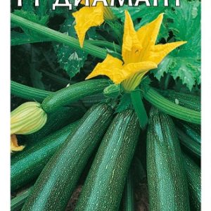 Кабачок Диамант F1 5 шт. (Германия) Н13