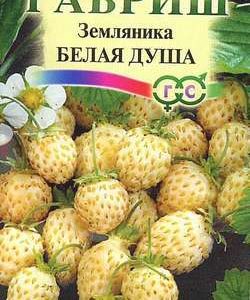 Земляника Белая душа* 0,03 г Н10