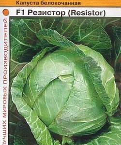 Капуста белокоч. Резистор F1 15 шт. ранняя (Голландия) Н10