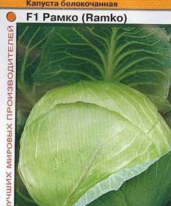 Капуста белокоч. Рамко F1 15 шт. для квашения (Голландия)Н10