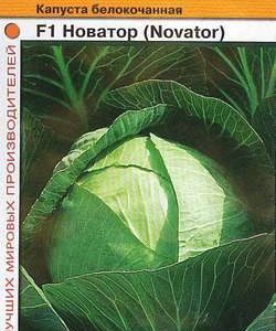 Капуста белокоч. Новатор F1 15 шт. для хранения (Голландия) Н10