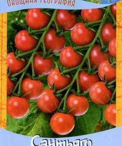 Томат Сантьяго 0,1 г серия География Н9