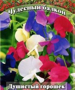 Душистый горошек Баттерфляй, смесь 1 г серия Чудесный балкон Н10