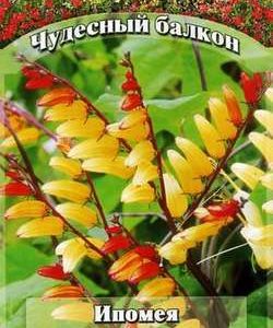 Ипомея Динь-Динь 0,5 г серия Чудесный балкон Н10