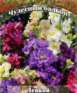 Левкой Соблазн* 0,1 г серия Чудесный балкон Н10