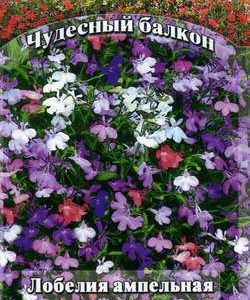 Лобелия Бисер*, ампельная смесь 0,05 г серия Чудесный балкон Н10
