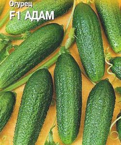 Огурец Адам F1 10 шт.корнишон (Голландия) Н10