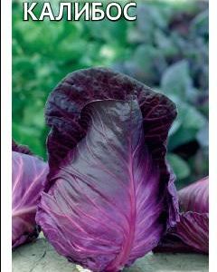 Капуста краснокоч. Калибос 0,3 г