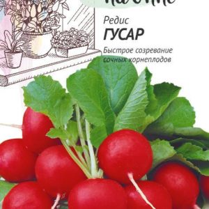 Редис Гусар 2,0 г Урожай на окне