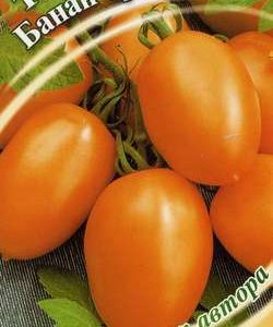 Томат Банан оранжевый 0,1 г автор.