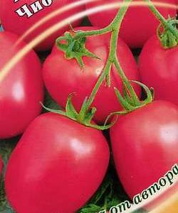 Томат Чио-чио-сан 0,1 г автор.