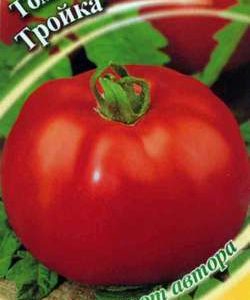 Томат Тройка (Русская) 0,1 г автор.