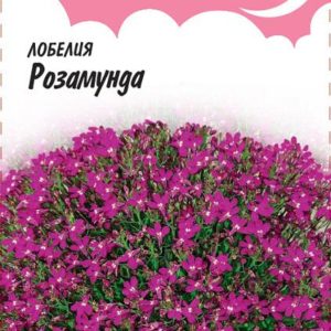 Лобелия Розамунда* 0,05 г Н10 , серия Розовые сны