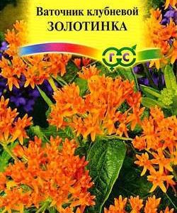 Ваточник клубневой Золотинка 0,03 г Н10