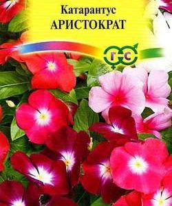 Катарантус Аристократ* 0,01 г Н10