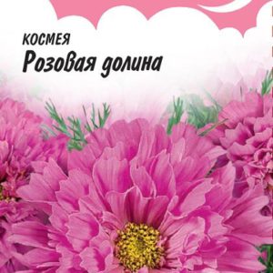 Космея Розовая долина махровая 0,05 г Н10 , серия Розовые сны