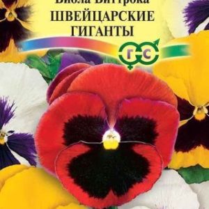 Виола Швейцарские гиганты , Виттрока (Анютины глазки)* 0,1 г Н10