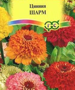 Цинния Шарм 0,3 г Н10