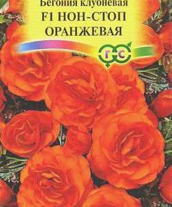 Бегония Нон-стоп оранжевая F1 гранул. 4 шт. пробирка Н10