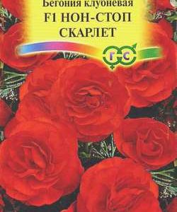 Бегония Нон-стоп Скарлет F1 гранул. 4 шт. пробирка Н10