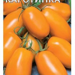 Томат Каротинка 0,1 г Н10