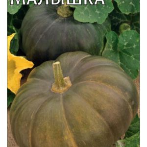 Тыква Малышка 2,0 г