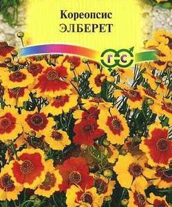 Кореопсис Элберет, красильный * 0,1 г Н10