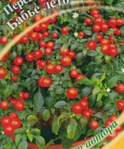 Перец кустарниковый Бабье лето 5 шт. автор. Н10