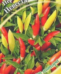 Перец кустарниковый Невеста 5 шт. автор. Н10