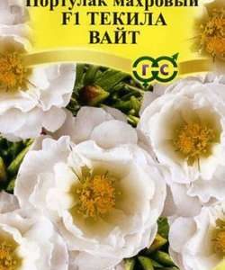 Портулак Текила Вайт F1* 5 шт сер. Элитная клумба