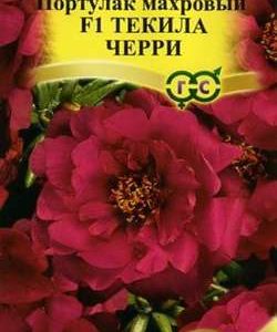 Портулак Текила Черри F1* 5 шт. сер. Элитная клумба