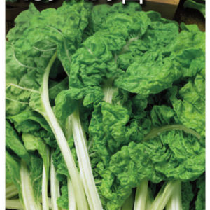 Мангольд Изумруд 2,0 г Н10