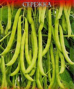 Фасоль Сережка 10 шт. серия Русский вкус Н11