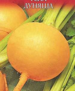 Репа Дуняша 0,5 г серия Русский вкус