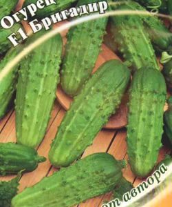 Огурец Бригадир F1 0,3 г автор.Н10